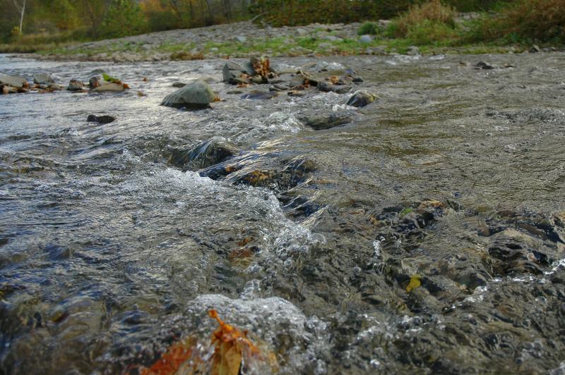 West Branch of the Delaware River