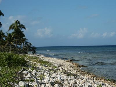 v3/65/575665/3/47361787.LittleCayman6.jpg
