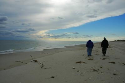 autumn beach