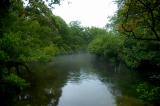 mist on Connetquot River