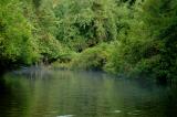 Connetquot River State Park