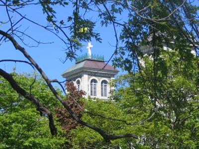 v3/65/588365/3/47958890.St.JohnsChurchesStJohnsBasilicaCatholicStJohntheBaptistBasilica4.jpg