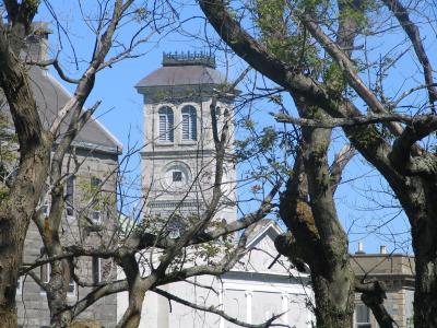 v3/65/588365/3/47958893.St.JohnsChurchesStJohnsBasilicaCatholicSt.JohntheBaptistBasilica1.jpg