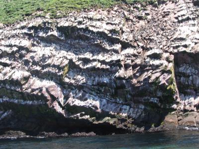 Bird Island 9.JPG
