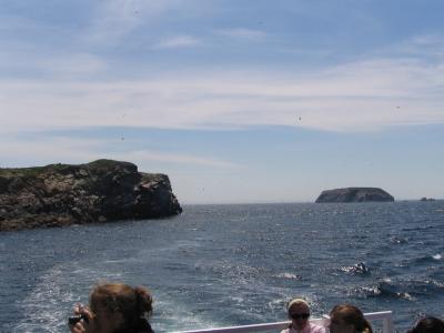Leaving Bird Island 2.JPG
