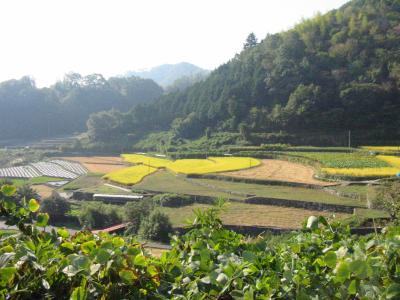 v3/65/588365/3/48428170.Shinichichoscenery.jpg