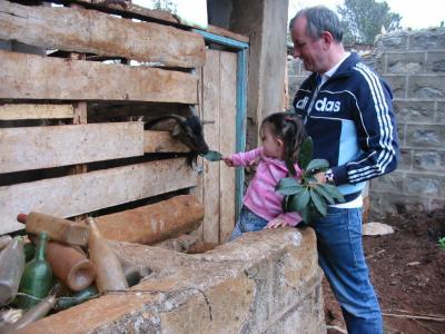 The daily ritual of feeding the goat  2005.