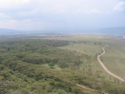 A view of Lake Nakuru from the Lookout.JPG