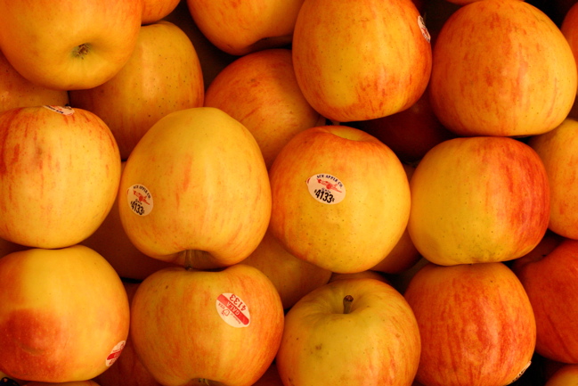  Apples To Apples