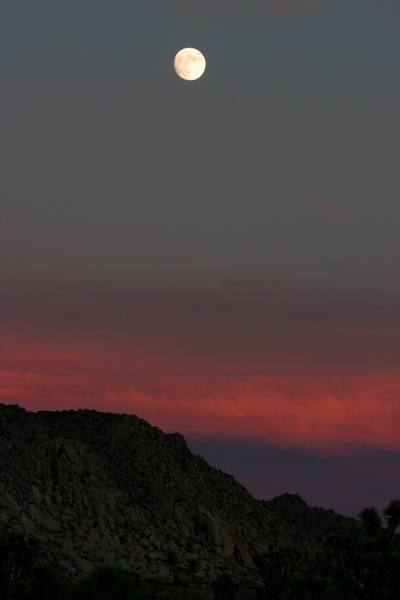 Moonrise At Sunset