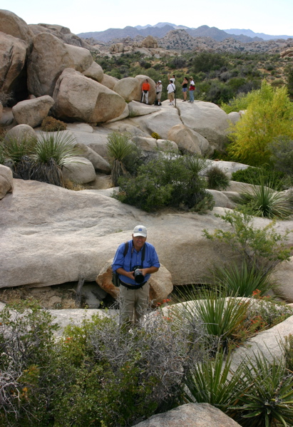 Joshua Tree