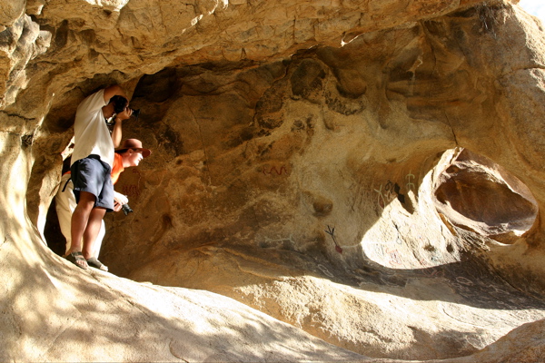 Joshua Tree National Park