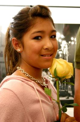The Yellow Rose