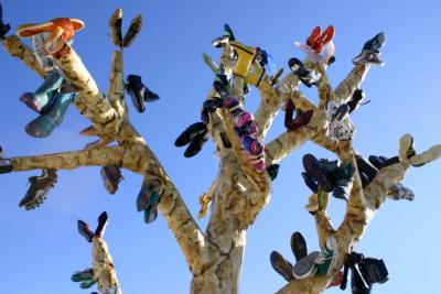 Shoe Tree