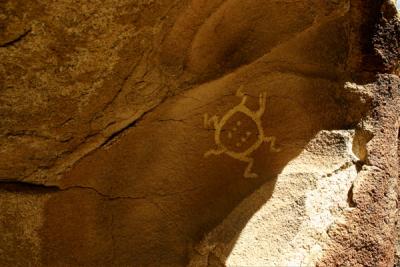 Turtle Petroglyph