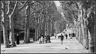 v3/66/262466/3/44295103.Paris0001.jpg