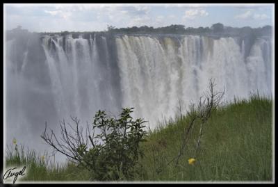 Zambia-0469-1.jpg