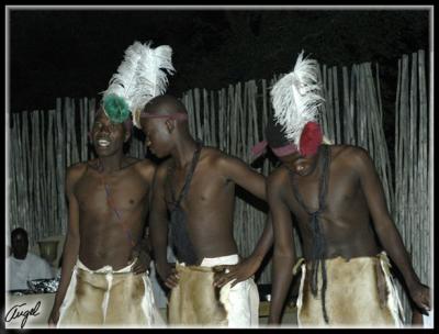 SurAfrica-2006.jpg
