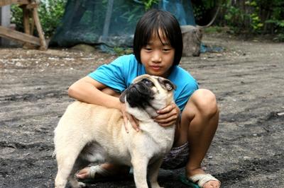 Girl and her pug: Ban Dom Kirek