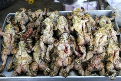 Frogs for dinner: San Kamphaeng Market