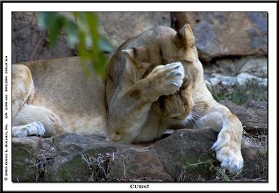 Fort Worth Zoo - 2005