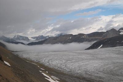 Reef Icefield