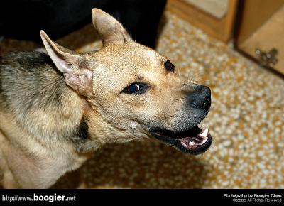 v3/66/374766/3/50664296.DSC_1331.jpg