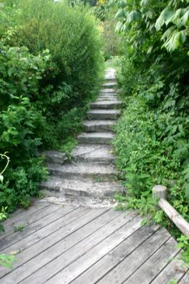 up the stairs from the deck