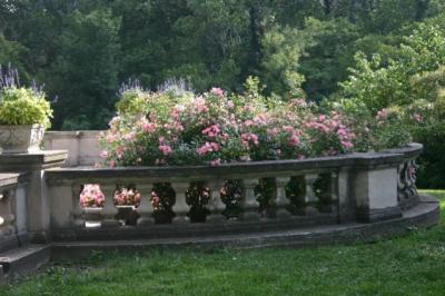 flowers on the porch