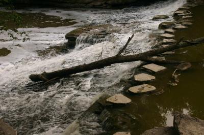 stepping stones