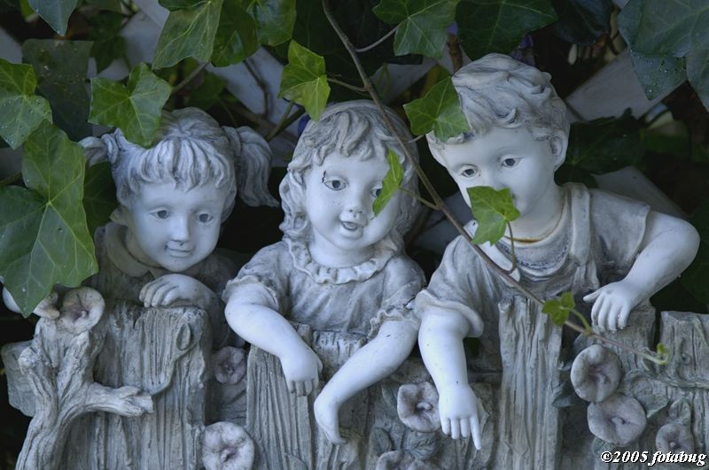 Quiet neighborhood kids