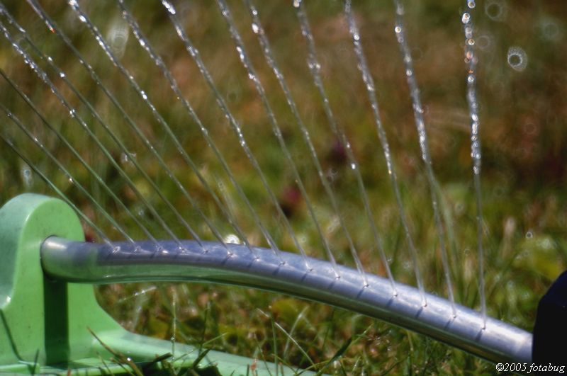 Watering