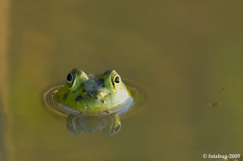 Heres looking at you, kid!