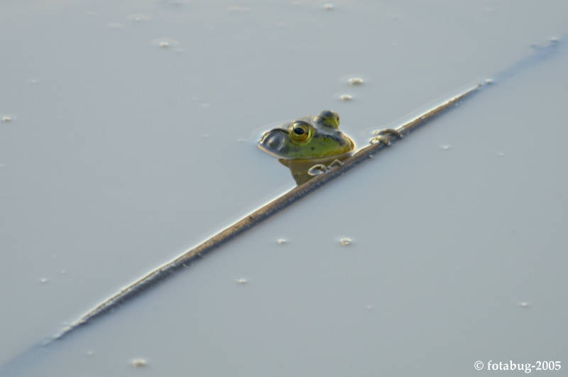 Oh, just hanging around!