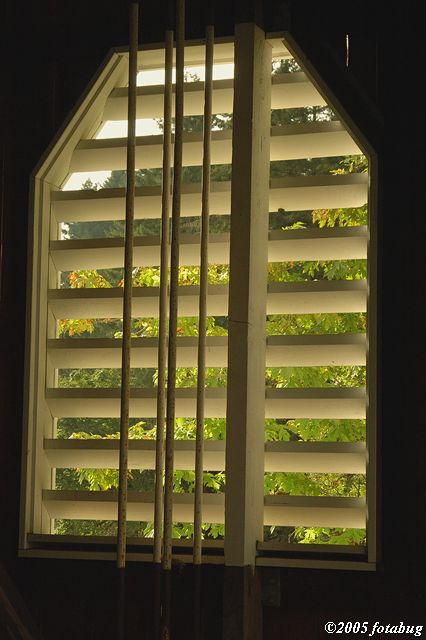 Dorena Covered Bridge Window