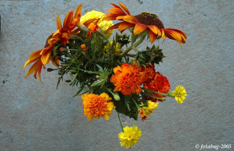 Bouquet from overhead