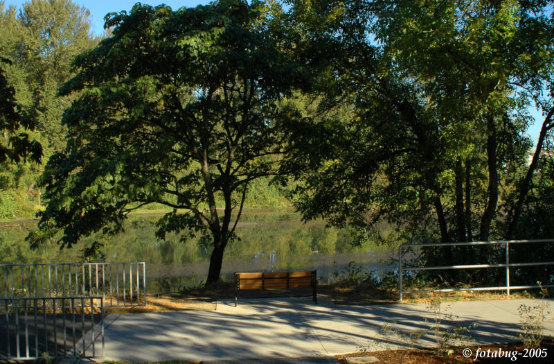 View of Delta Ponds
