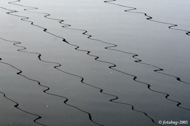 Reflection of power lines