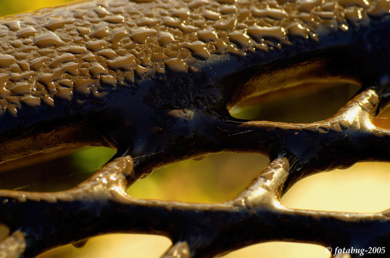 Mystery object (if you must, see answer below)  :)