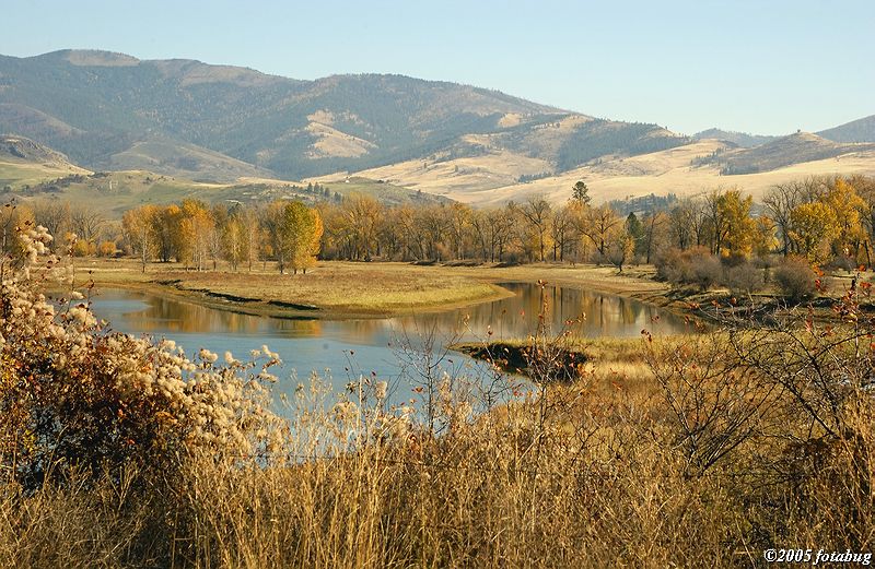 D1x2005-10-22_057