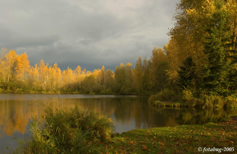 Sun breaks through a stormy sky