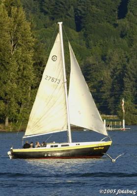 A beauty of a sailboat