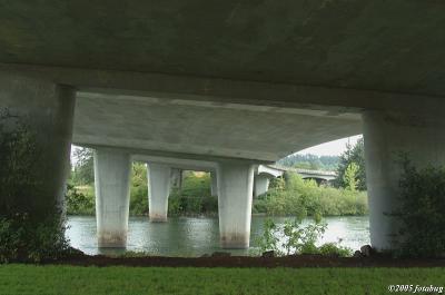 Beneath the bridge