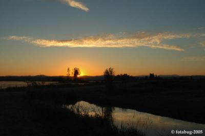Sunset over Fern Ridge wetlands