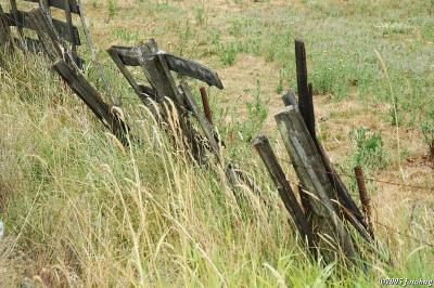 Dilapidated fence