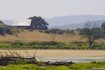 Farm and barn near the wetlands
