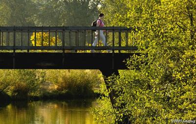 Runner and bridge