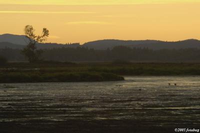 Evening light on the wetlands