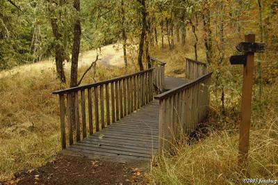 Bridge on Mt Pisgah trail