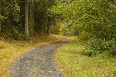 Mt Pisgah hillside trail #5